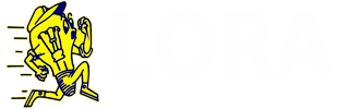 lora-electricidad
